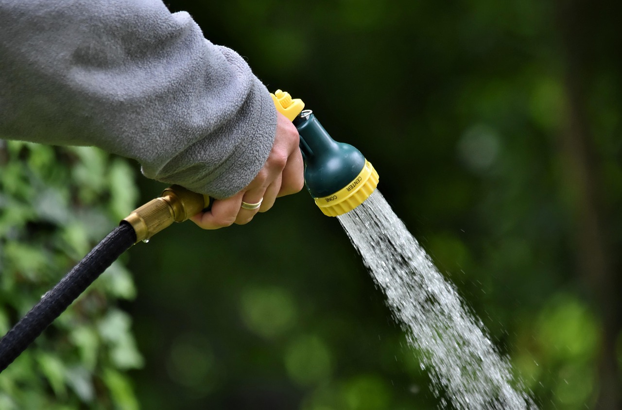 Automatische druppelslang in zonnige tuin