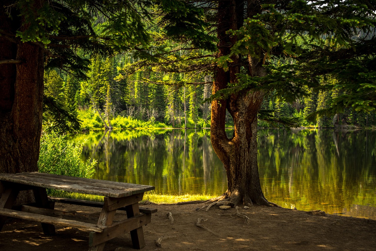 Vrolijke mensen genieten van een bohemian picknick.