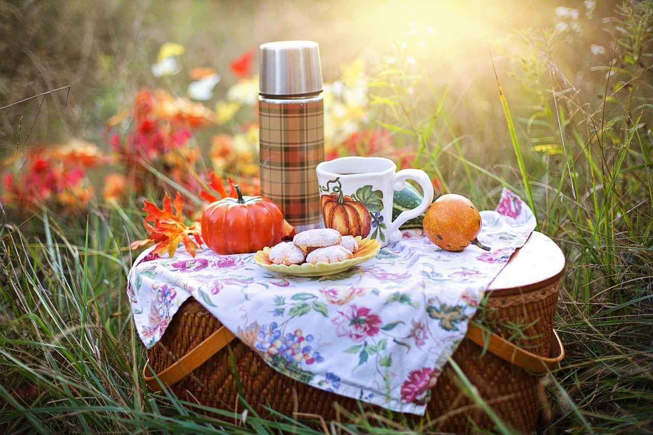 Gezellige bohemian picknick met bloemen en manden.