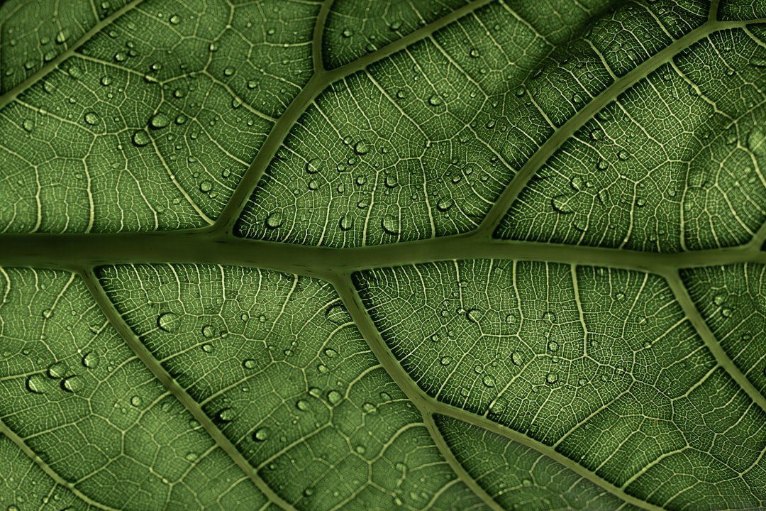 Groene planten creëren tropische oasis in badkamer.
