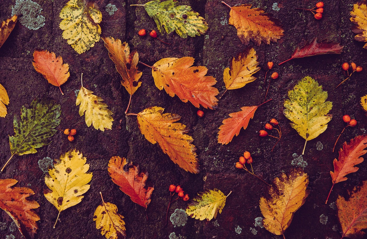 Slaapkamerdecor met warme herfsttinten fotobehang. Slaapkamerdecor met warme herfsttinten fotobehang.